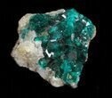 Thumbnail Emerald-Green Dioptase Crystals - Kazakhstan #34974-1